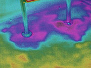 Alternate text goes here